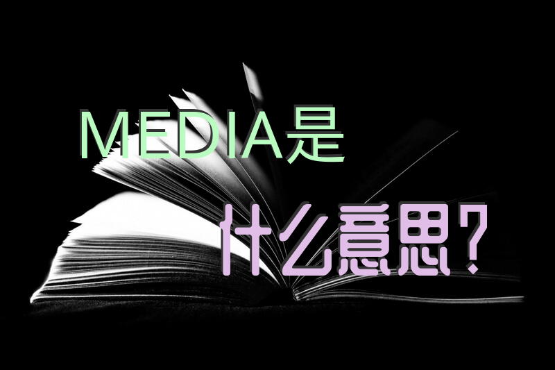 MEDIA是什么意思？