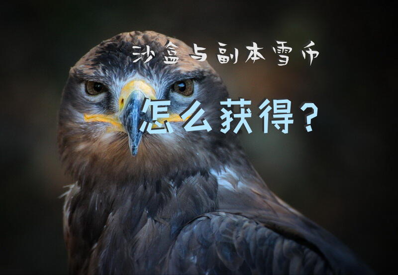 沙盒与副本雪币怎么获得？