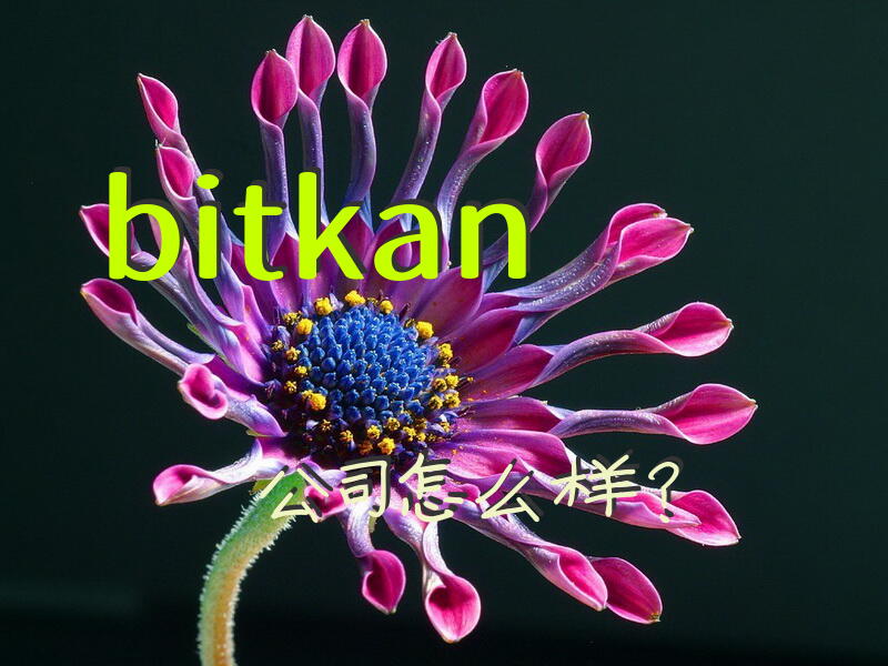bitkan公司怎么样？