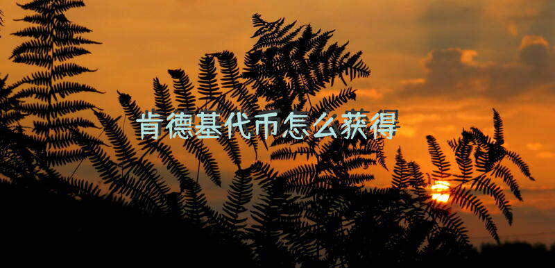 肯德基代币怎么获得？