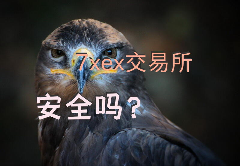 7xex交易所安全吗？
