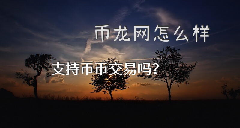 币龙网怎么样，支持币币交易吗？