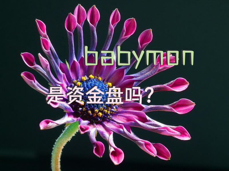 babymon是资金盘吗？