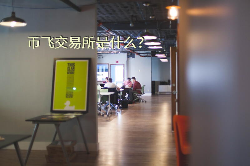 币飞交易所是什么？