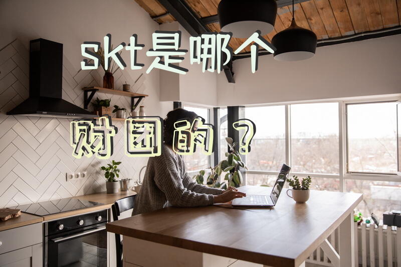 skt是哪个财团的？