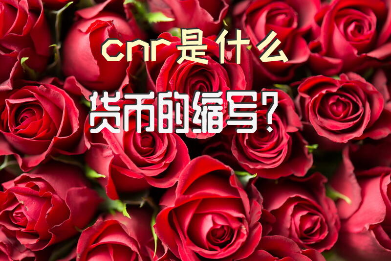cnr是什么货币的缩写？