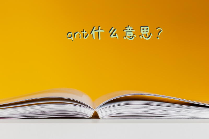 qnt什么意思？