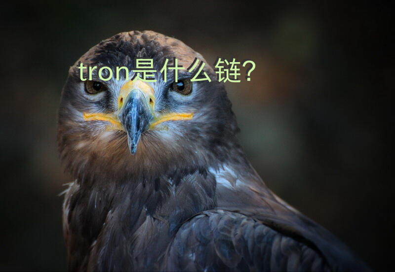 tron是什么链？