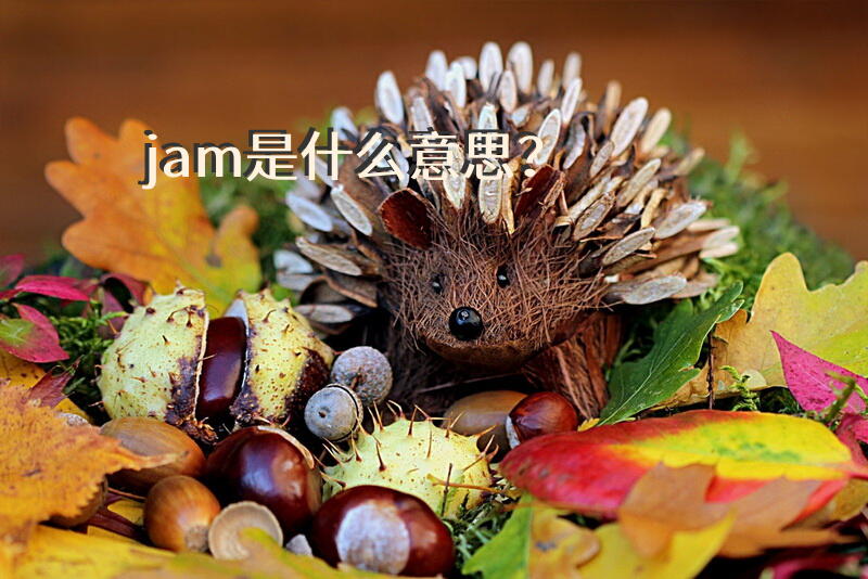 jam是什么意思？