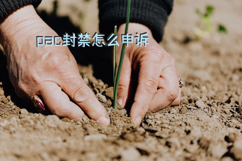 pac封禁怎么申诉？