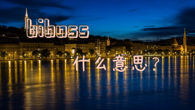 biboss什么意思？
