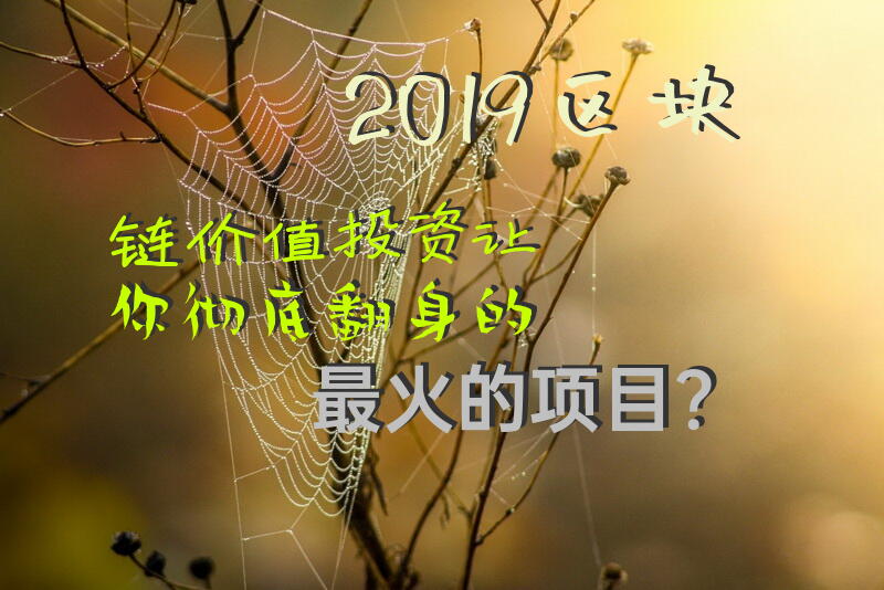 2019区块链价值投资!让你彻底翻身的最火的项目？