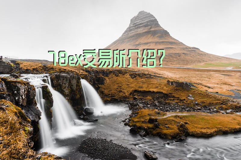78ex交易所介绍？