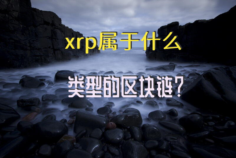 xrp属于什么类型的区块链？