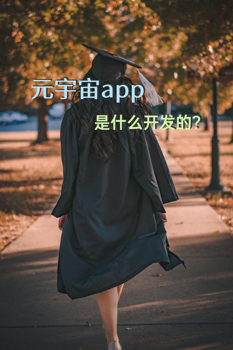 元宇宙app是什么开发的？
