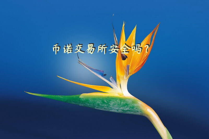 币诺交易所安全吗？