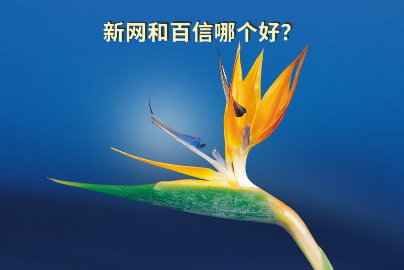 新网和百信哪个好？