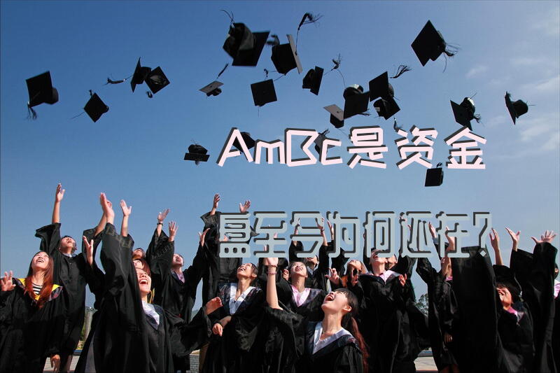 AmBc是资金盘，至今为何还在？