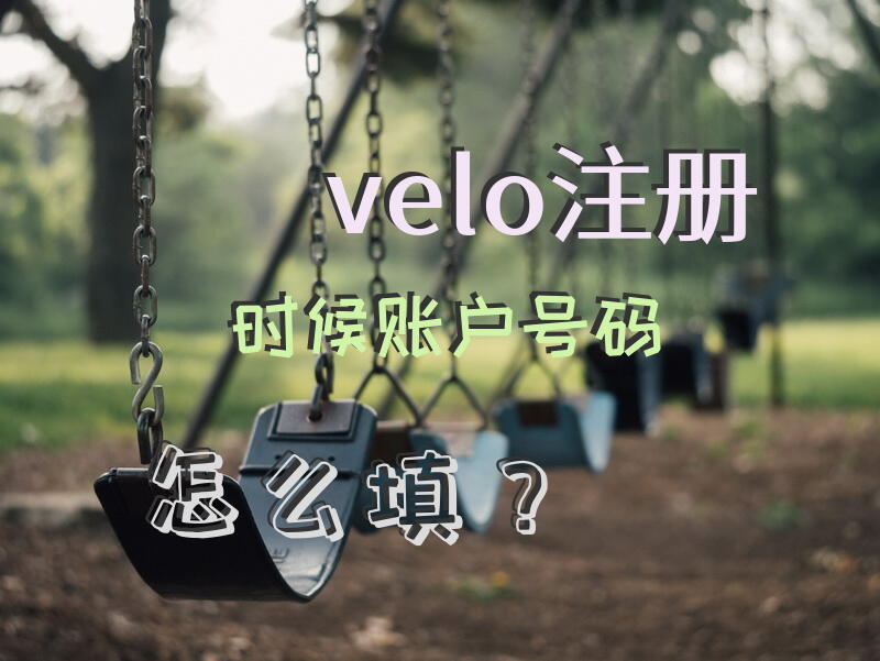 velo注册时候账户号码怎么填？