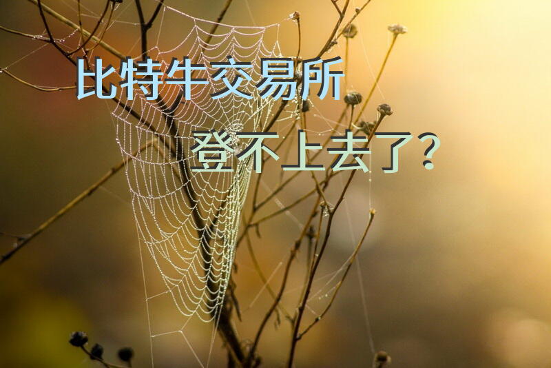 比特牛交易所登不上去了？