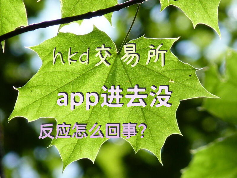 hkd交易所app进去没反应怎么回事？