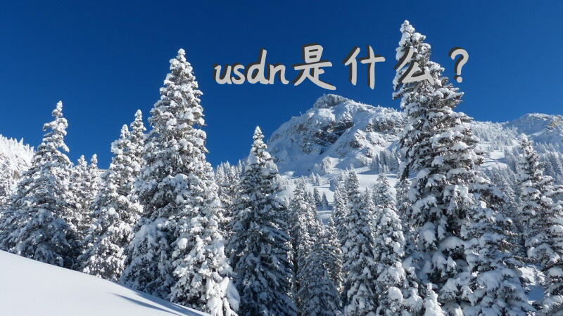 usdn是什么？