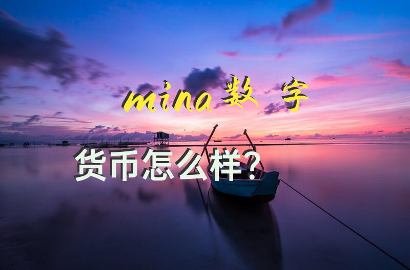 mina数字货币怎么样？