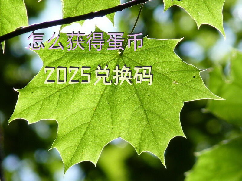 怎么获得蛋币2025兑换码？