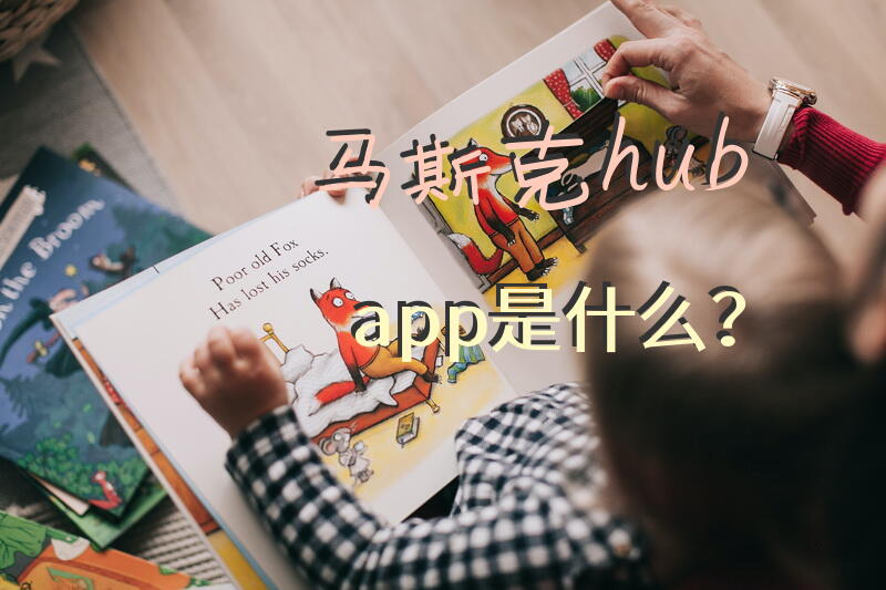 马斯克hub app是什么？