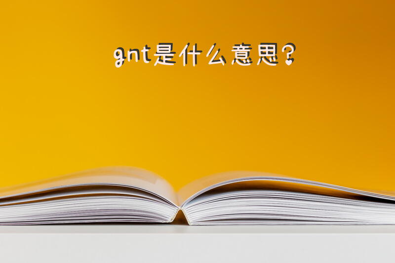 gnt是什么意思？