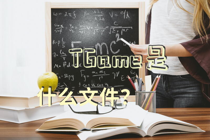 TGame是什么文件？