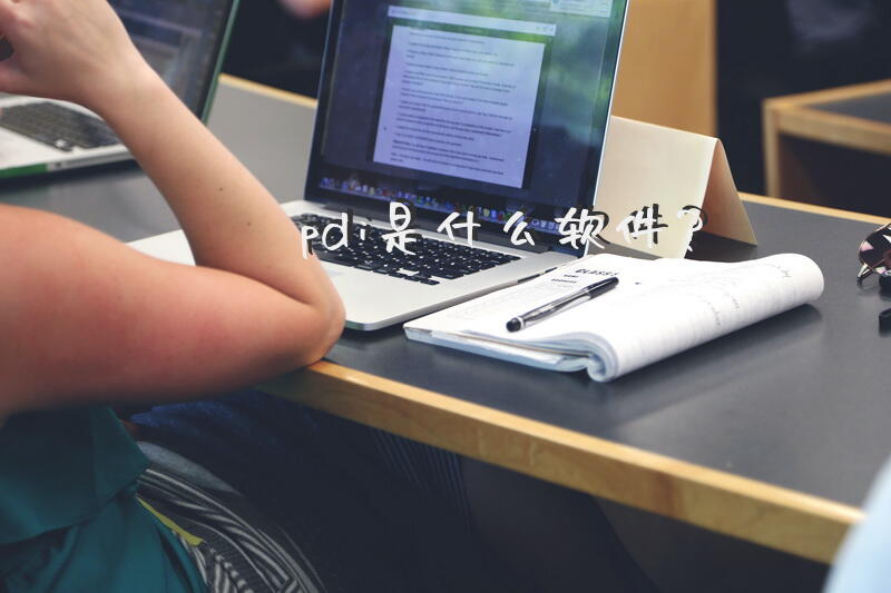 pdi是什么软件？