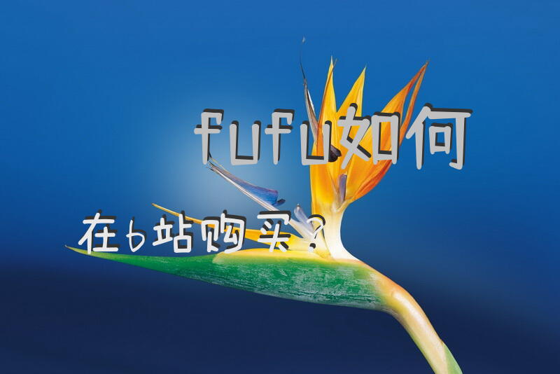 fufu如何在b站购买？