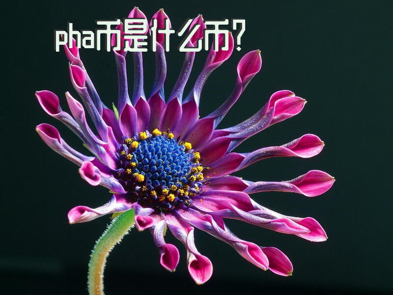 pha币是什么币？