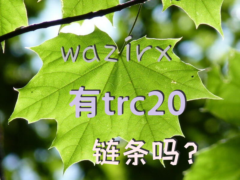 wazirx有trc20链条吗？