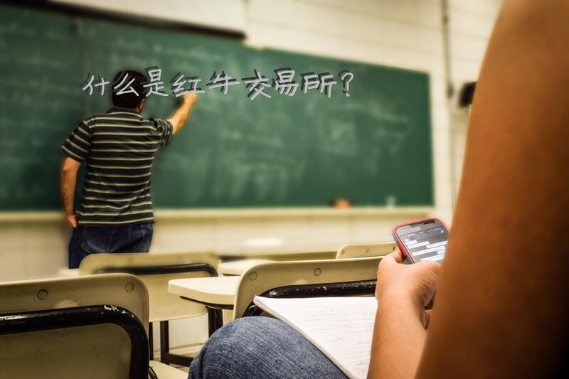 什么是红牛交易所？