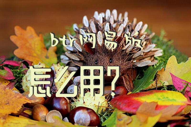 btr网易版怎么用？