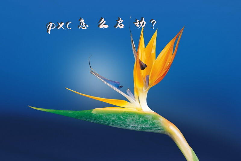 pxc怎么启动？