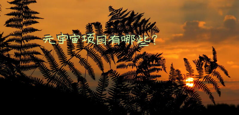 元宇宙项目有哪些？