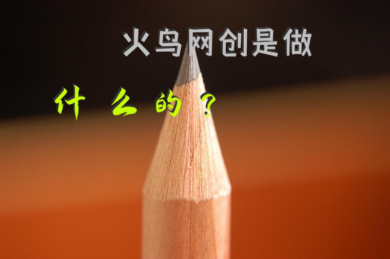火鸟网创是做什么的？