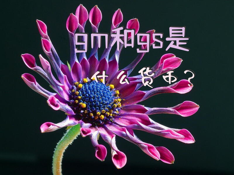 gm和gs是什么货币？