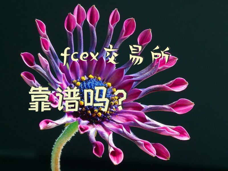 fcex交易所靠谱吗？