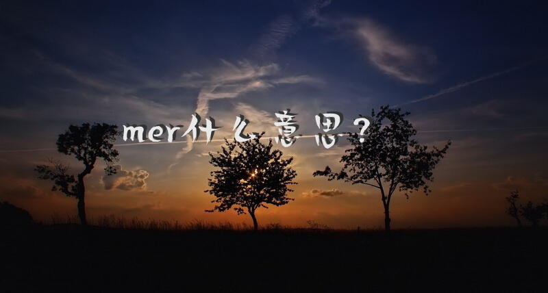 mer什么意思？