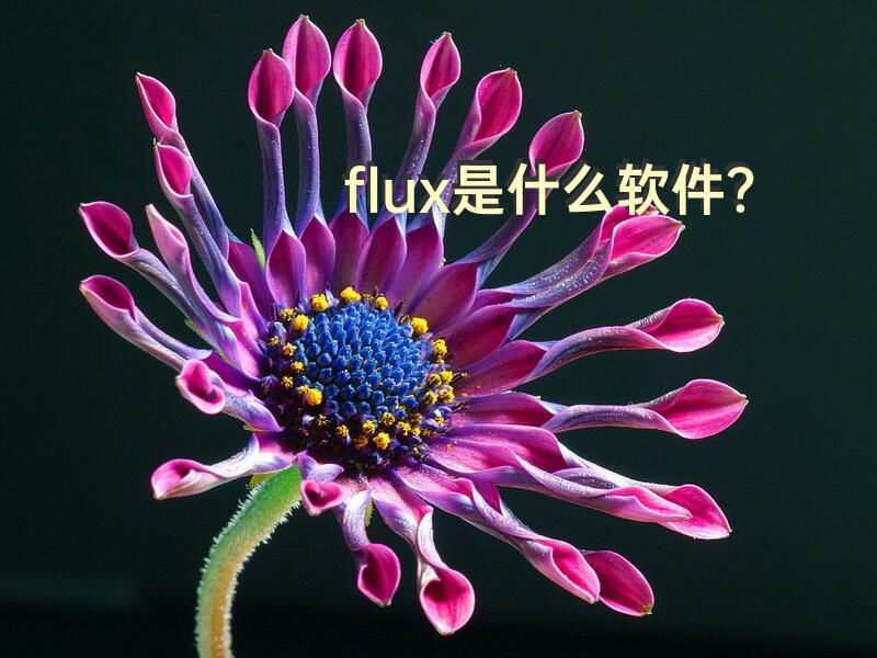flux是什么软件？