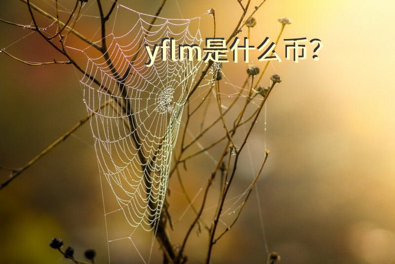 yflm是什么币？