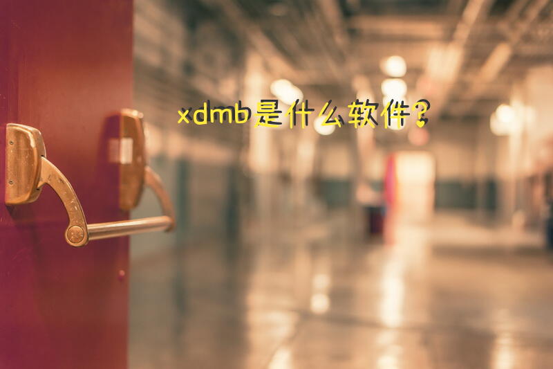 xdmb是什么软件？