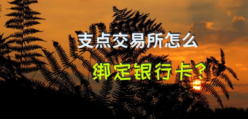 支点交易所怎么绑定？
