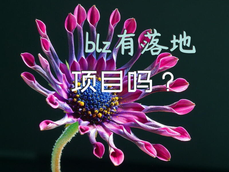 blz有落地项目吗？