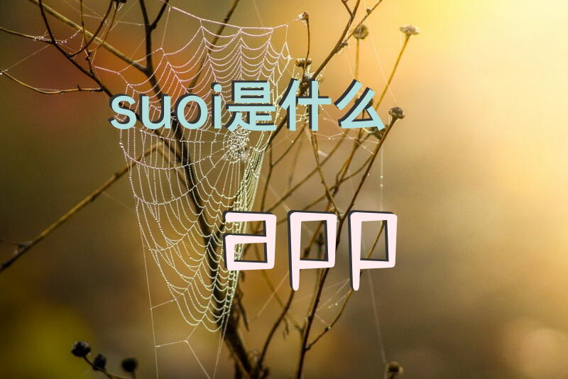 suoi是什么app？