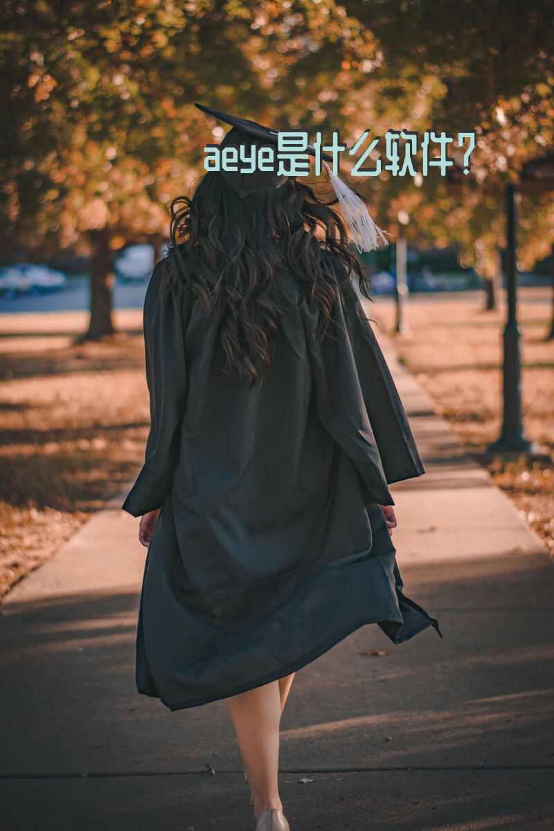 aeye是什么软件？